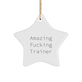 Funny Trainer Gifts from Friends - Amazing Star Ornament for Christmas - Inspirational Quote - Image 1